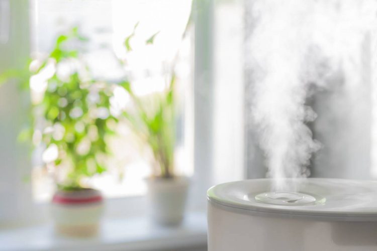 Humidificateur et déshumidificateur : lequel utiliser pour votre maison ?