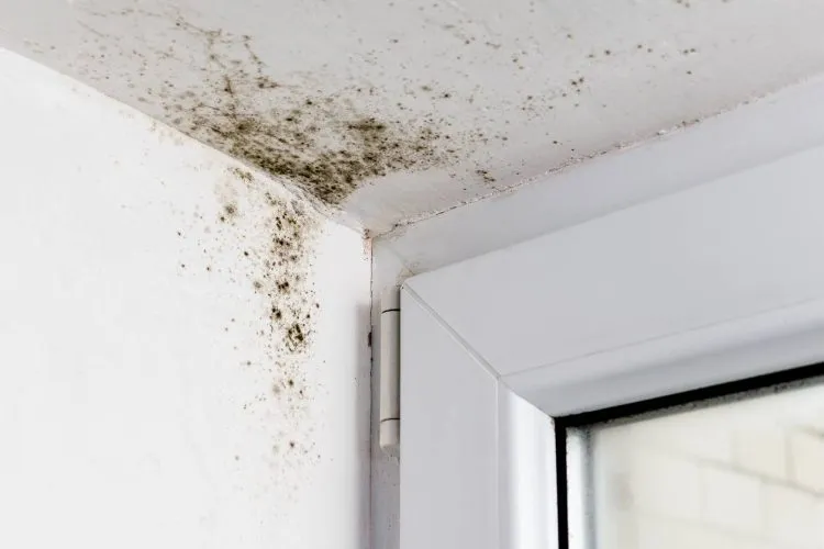 condensation logement traitement humidité