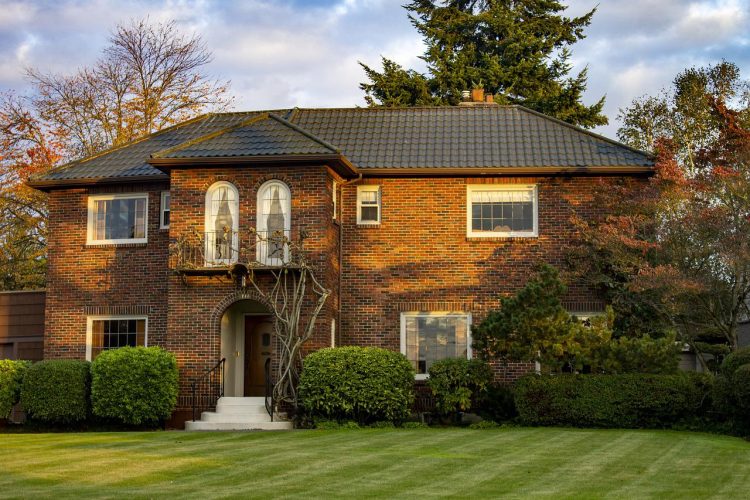 Comment préparer votre maison pour un chien ?