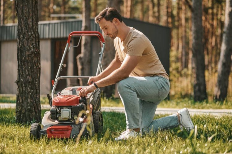 Printemps : c’est le moment de nettoyer votre jardin !