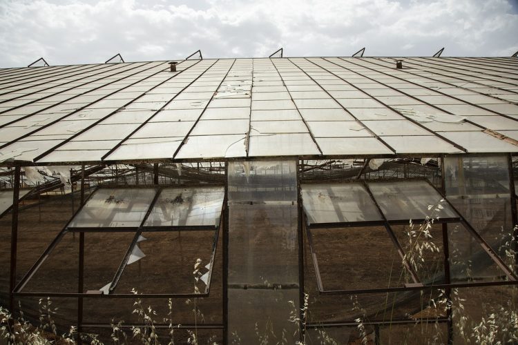 Comment fabriquer une serre de jardin pas cher?