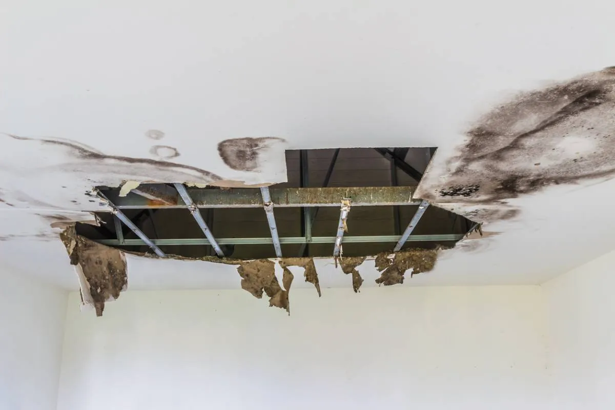 Solutions efficaces pour en finir avec les problèmes d’infiltration d’eau