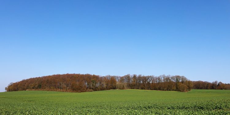 Clôture