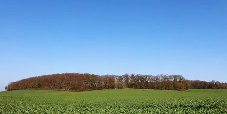 Terrain non constructible à vendre : tout savoir
