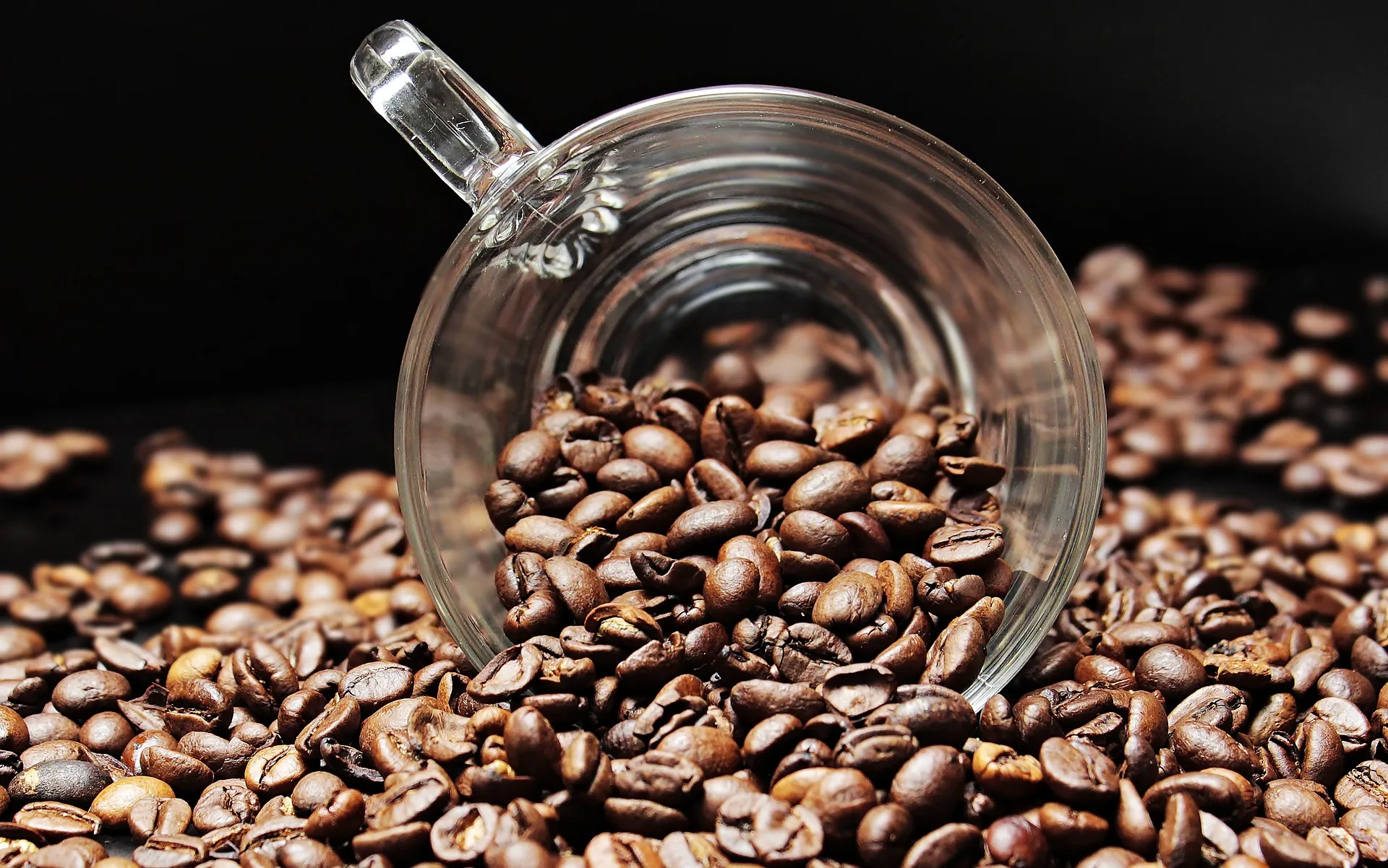 Le Ninja Coffee Bar est la machine à café ultime
