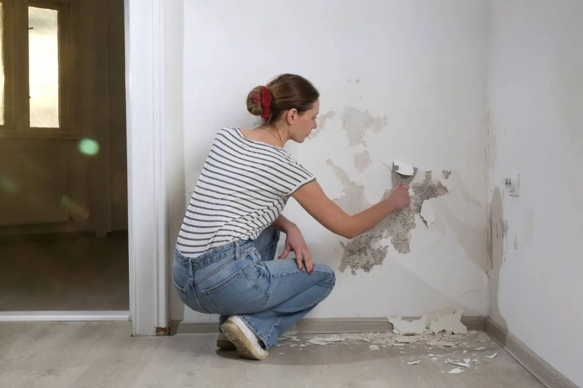 Votre maison sent l’humidité ? Ce que ça dit de vos murs