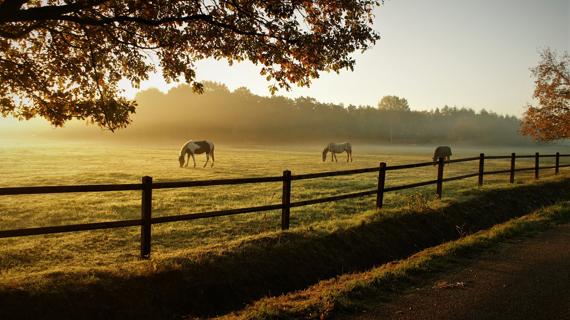 Inspiration extérieure recueillie : Ferme américaine