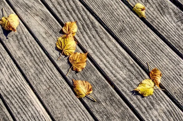 Comment nettoyer une terrasse en bois après l’hiver ?