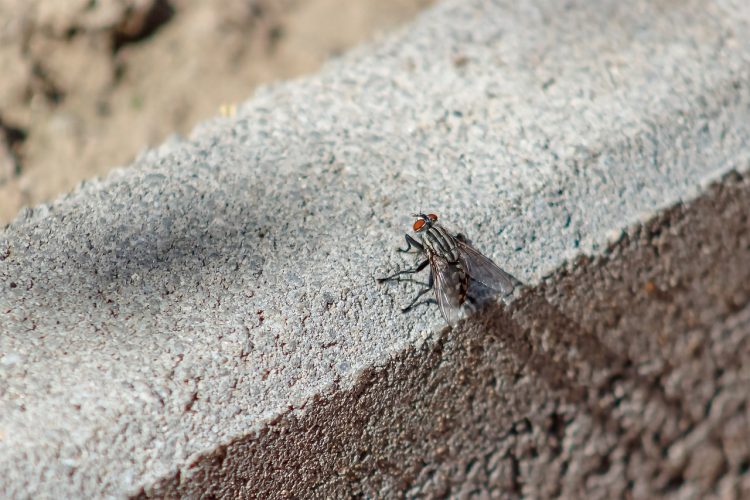 Travaux BTP : les secrets de pro du béton et du mortier