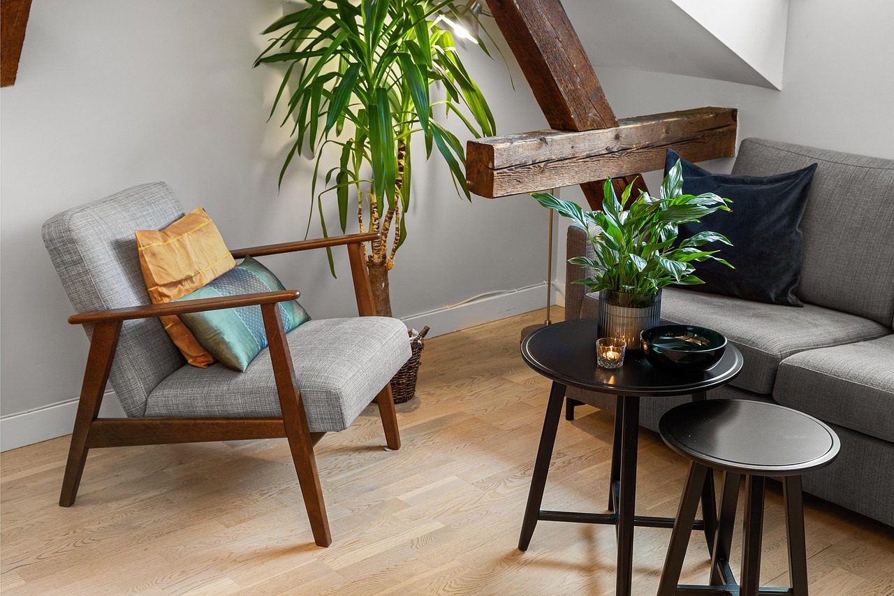 choisir plante