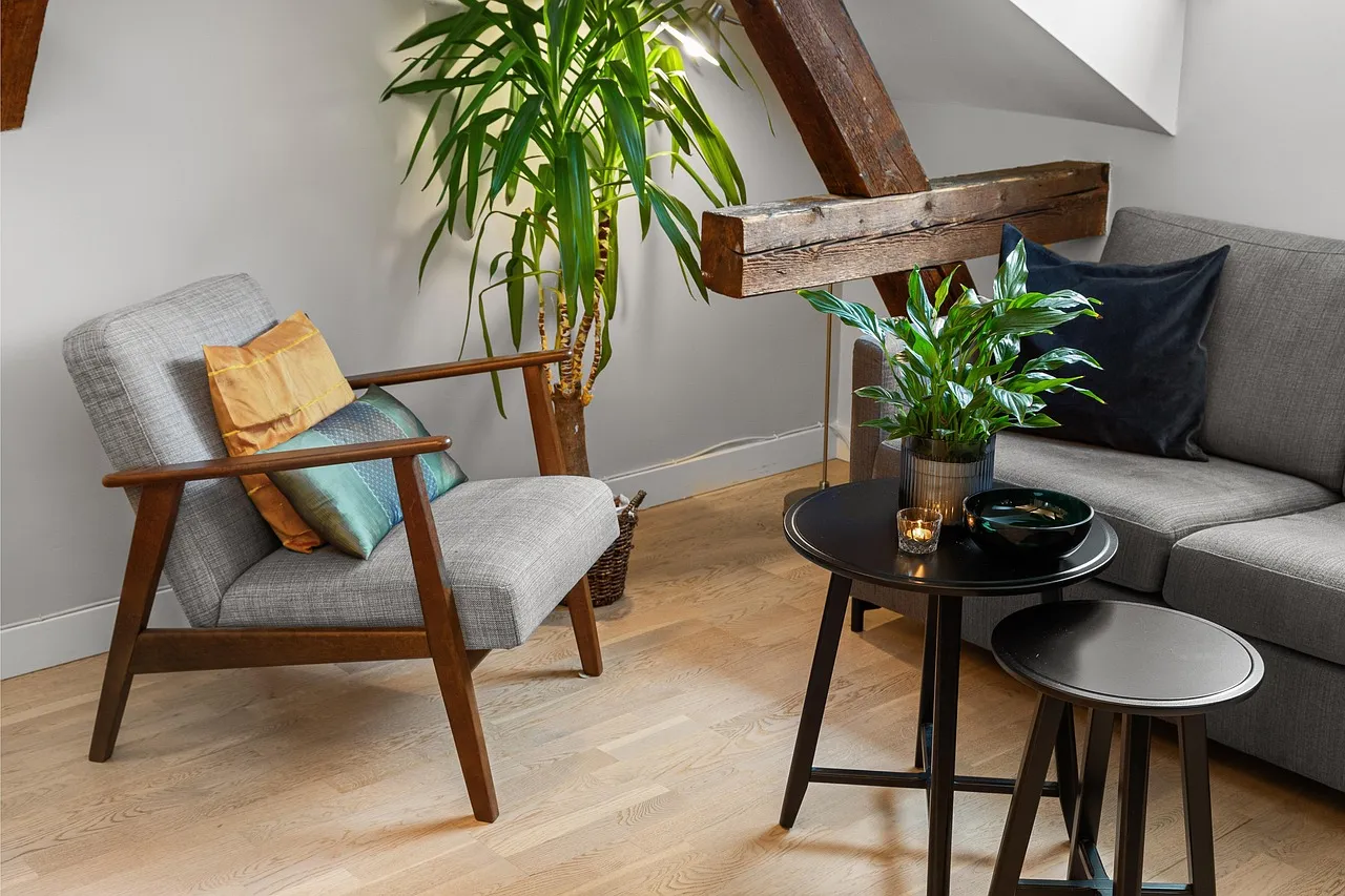 Comment correctement choisir et disposer vos plantes ?