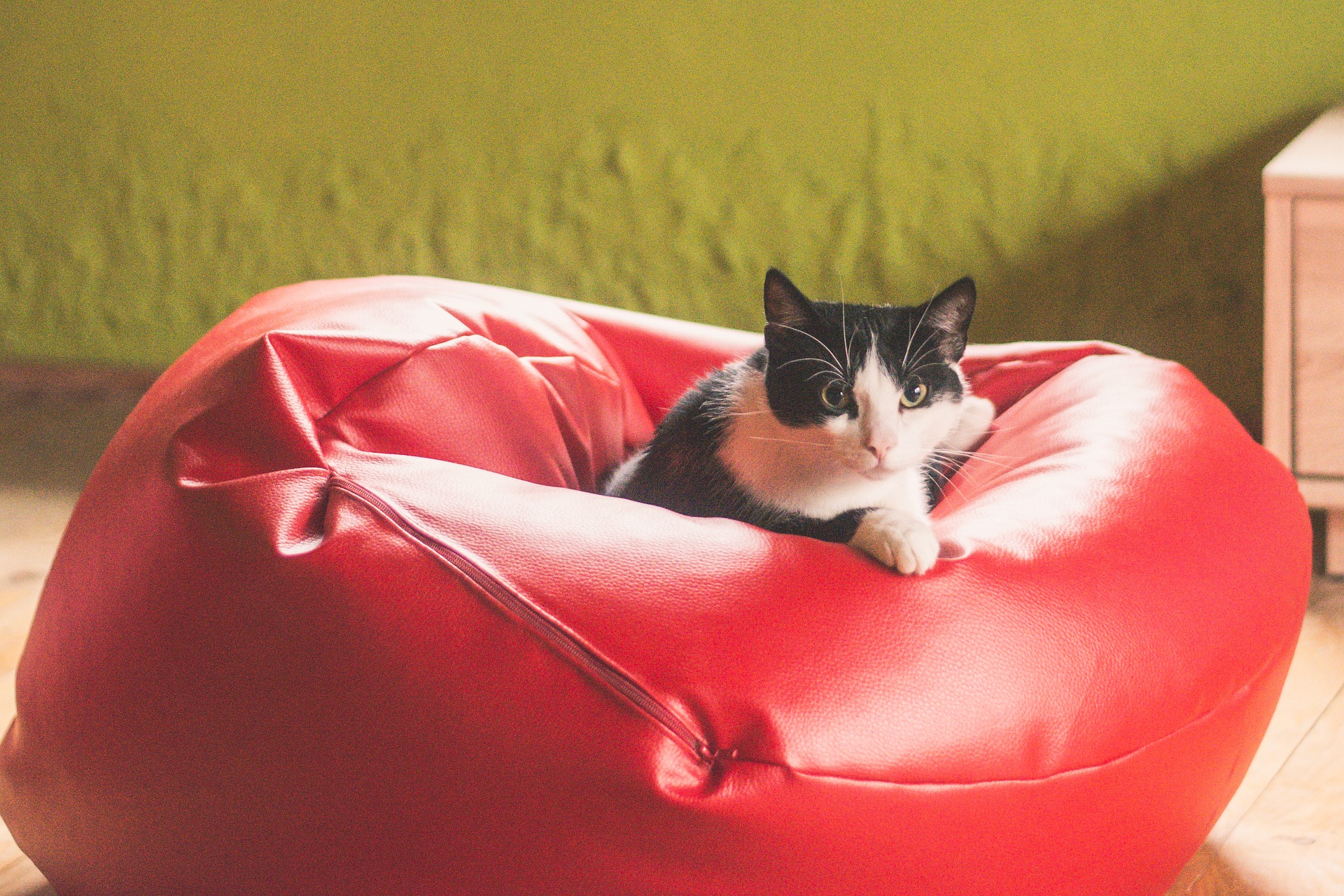 Où trouver les meilleurs poufs et les plus abordables ?