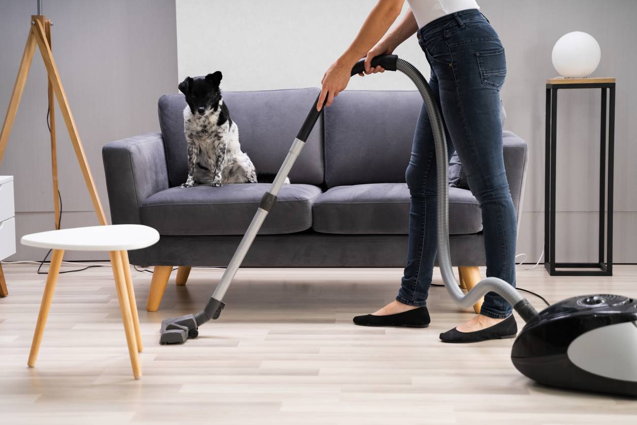 aspirateur poils de chien et chat