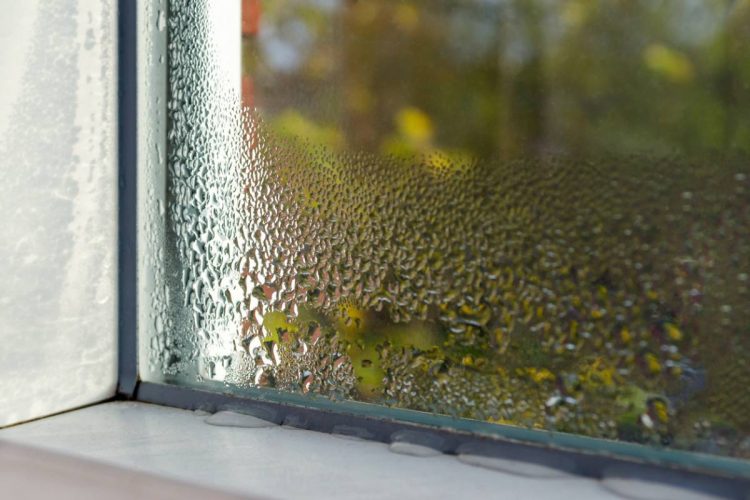 Comment reconnaître un problème de condensation dans votre maison ?