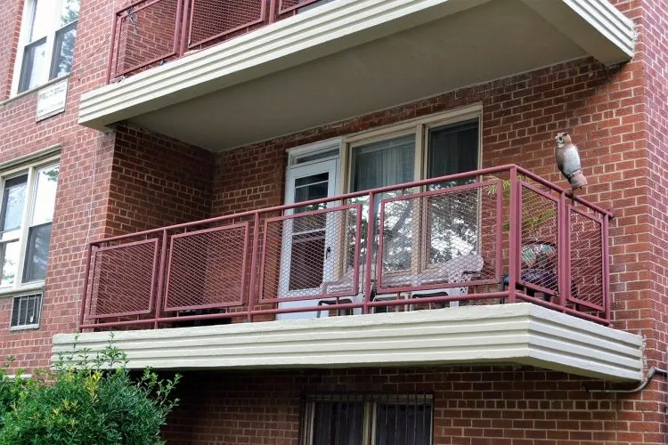 Clôture