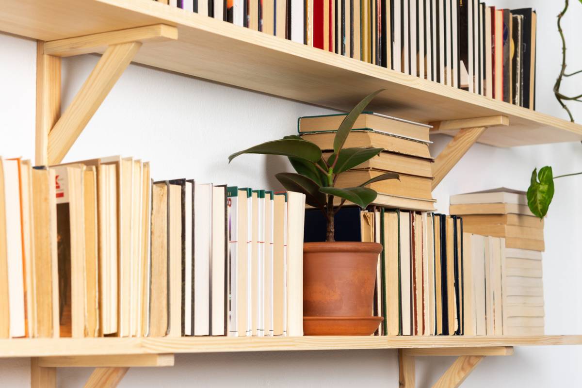 Où et comment installer sa bibliothèque ?