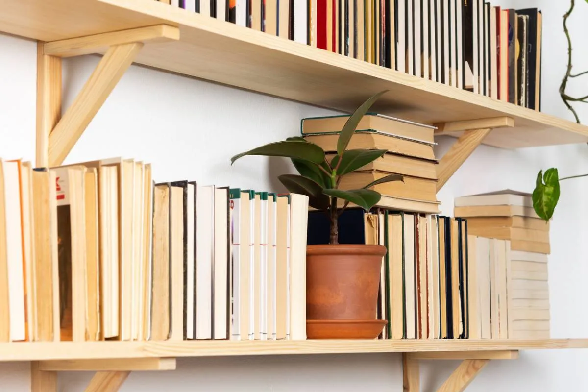 Où et comment installer sa bibliothèque ?