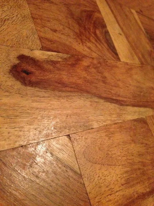 parquet en bois