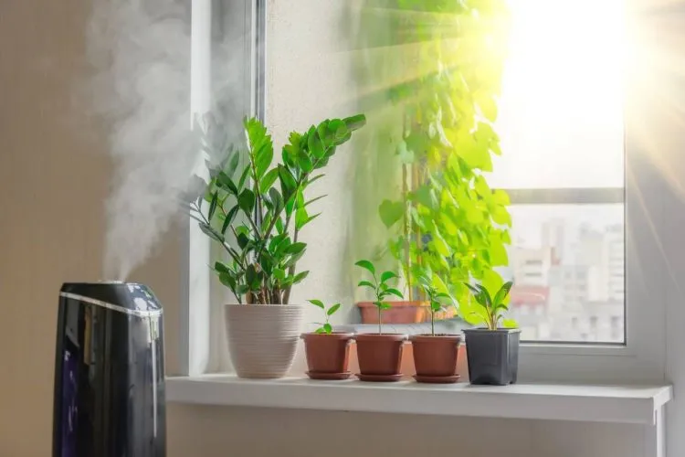 Humidificateur d'air