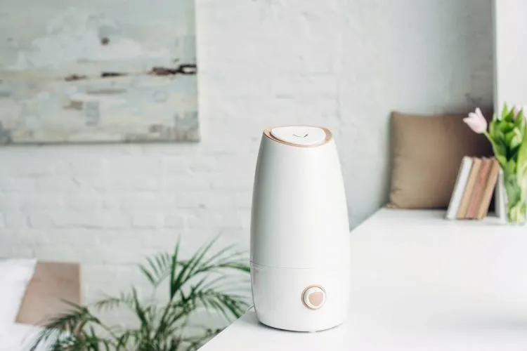 Humidificateur