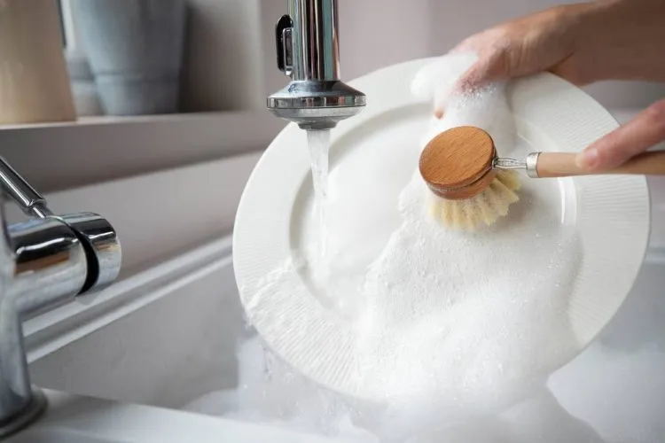 vaisselle écolo ; brosse de vaisselle écolo