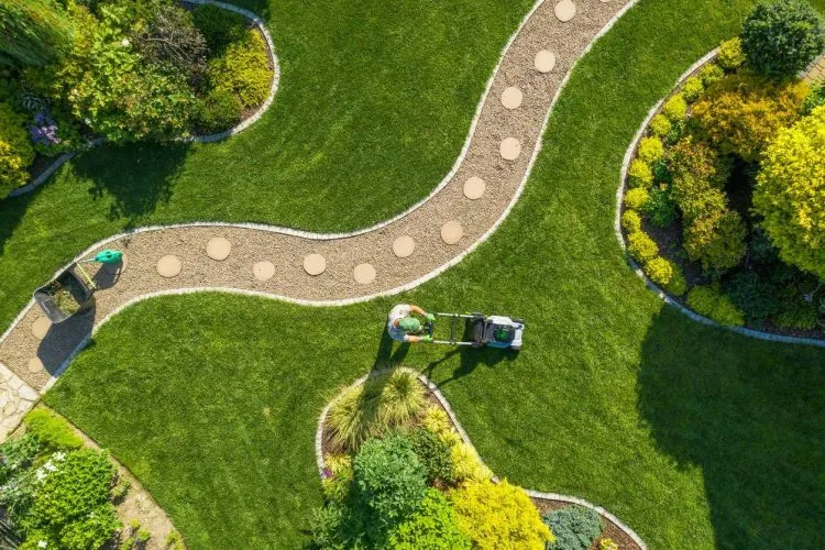 jardin paysagé