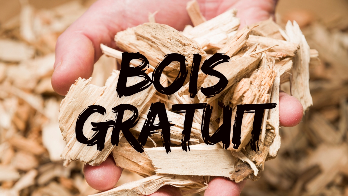 bois gratuit