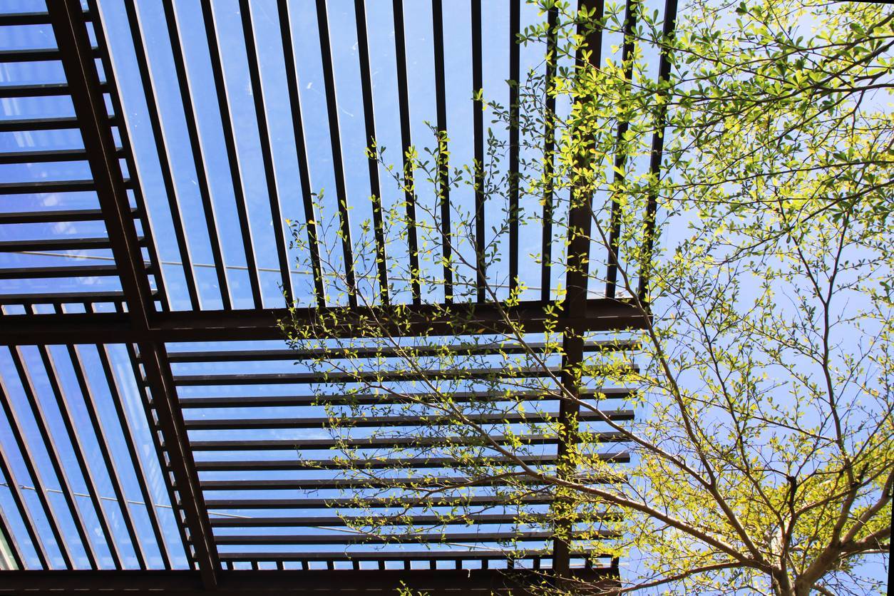 pergola carpot 