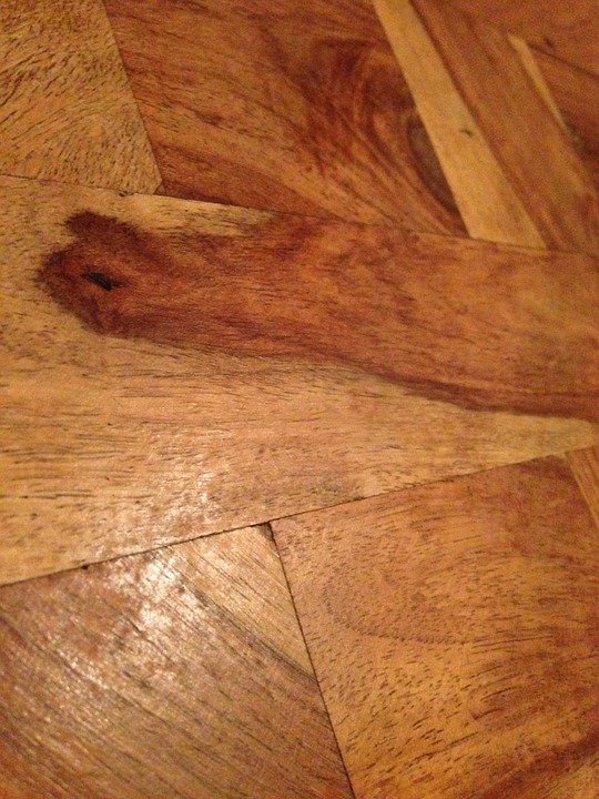 parquet en bois