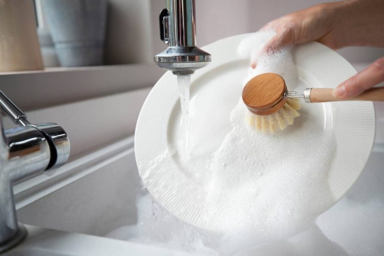 vaisselle écolo ; brosse de vaisselle écolo