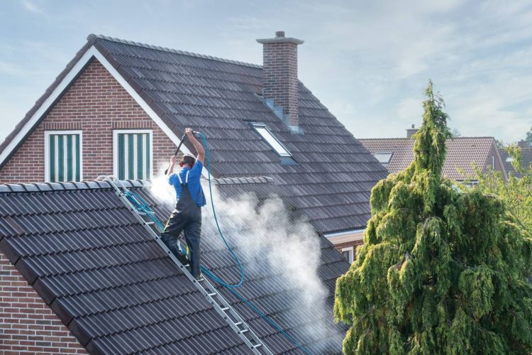 toiture professionnel du démoussage
