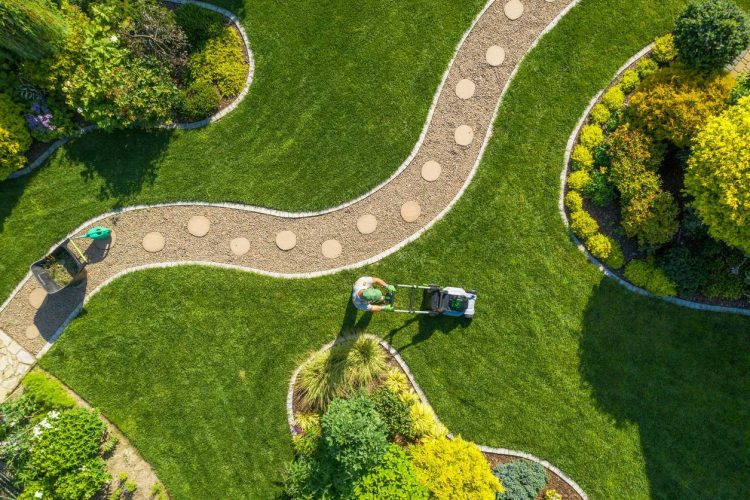 jardin paysagé