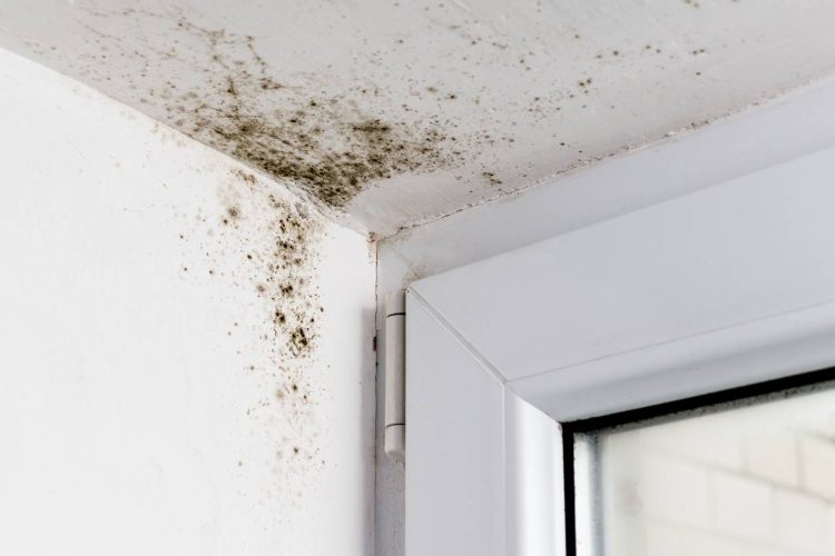 condensation logement traitement humidité
