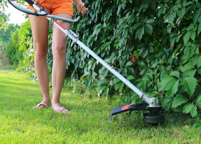 débroussailleuse jardin machine appareil fils